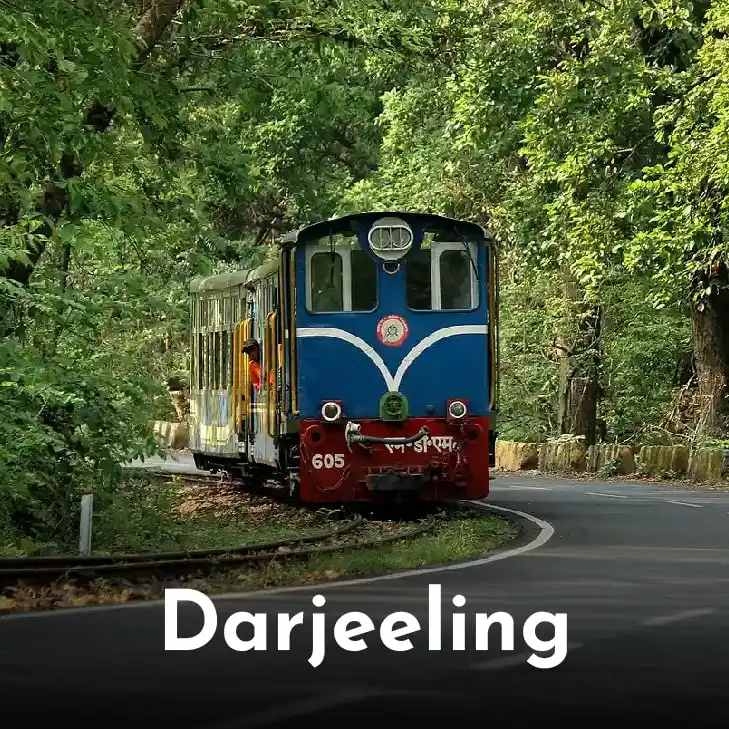 Gangtok & Darjeeling - Misty Mountains